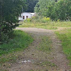 Spaß haben im Wald