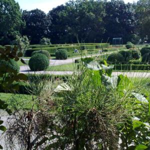 Rosengarten (Gesundbrunnen)