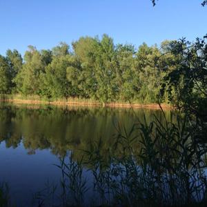 Am Kiekebuschsee Nähe Schönefeld