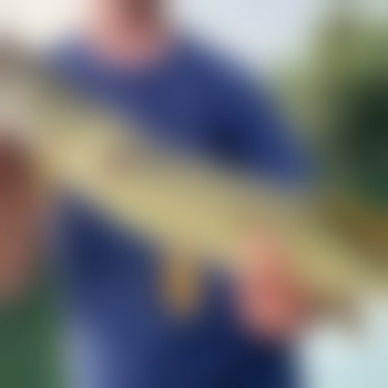 FishandFun