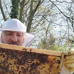 Beekeeper666