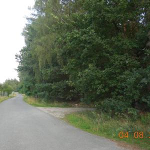 A 24 Abfahrt Herzsprung (zwischen WK und NP)