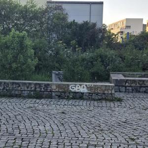 Cruising Weißeritz Grünzug Dresden