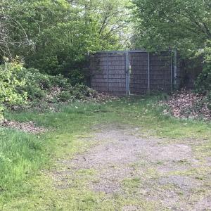 Schön angelegter Badesee