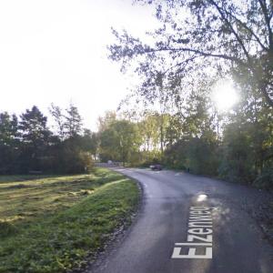 Kippenbos
