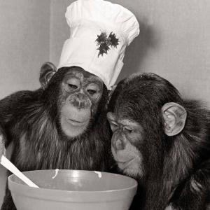 🍳👨🍳 Orales Vergnügen 👩🍳🌶️🍈🍈🥒