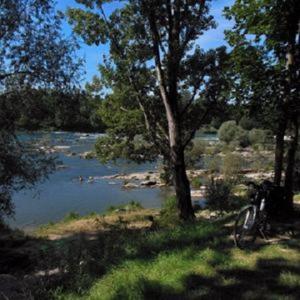 Waldparkplatz bei Istein