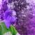 Chris33-8197