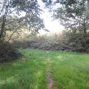 Autobahn Parkplatz Katzenbacher Höhe A 62