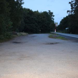 Bundesstraße 4 Höhe Springhirsch