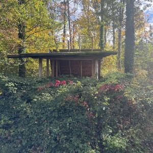 Hütte Ortsausgang Schorndorf Richtung Schlichten