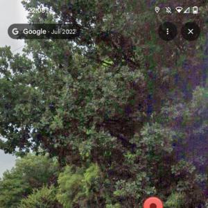 Öffentlicher Parkplatz am Waldrand