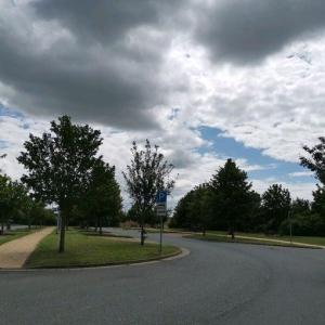 Recknitz-Niederung Ost