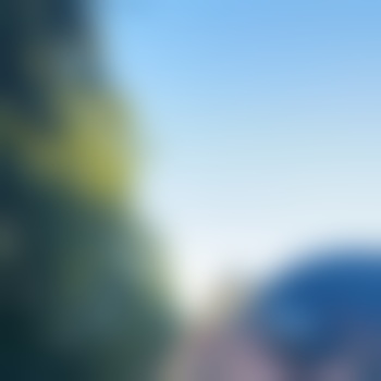 65berliner