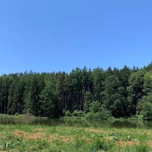 Reichenbacher Weiher