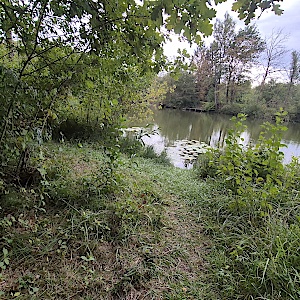 FKK Hölzle See