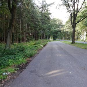 Verden Nord