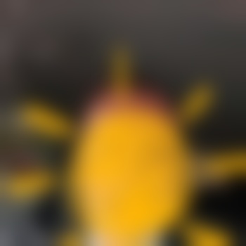 SinfulDesire