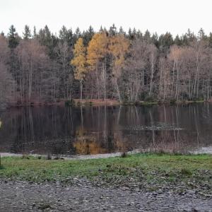 Schlöttenteich bei Waldhaus