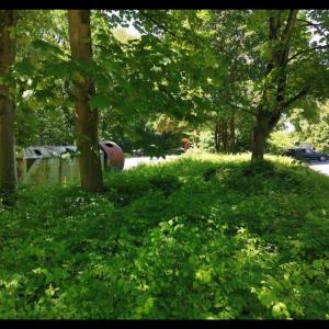 Parkplatz Hardter Wald