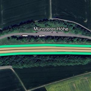 Münsterer Höhe