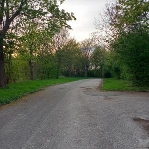 Parkplatz/ Wald- Sex Ostermoor