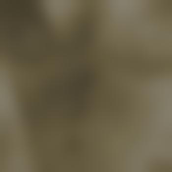 Suche_Lust