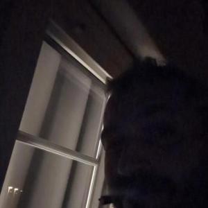 abstrakt