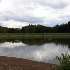 See bei Roth