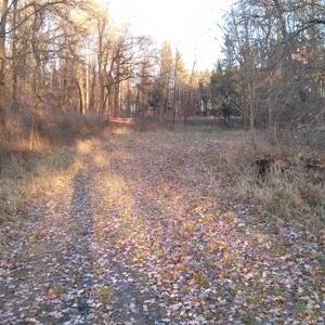 Outdoor Künzell nähe Sportplatz/Friedhof