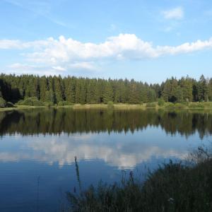 Zankwieser Teich - öffentlicher Badesee
