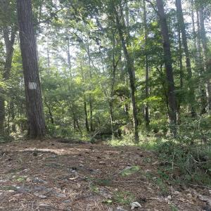 Big creek scenic area