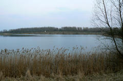 Badesee Arkenberge