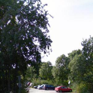 L269 Niederkasseler Str Kurz vor 565