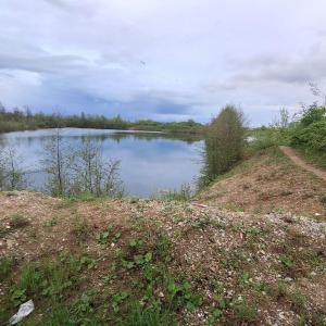 Hackerweiher Stauffendorf