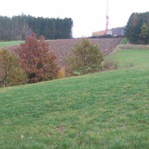 Planetenweg Imkerplatz