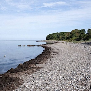 Lindhöft Strand