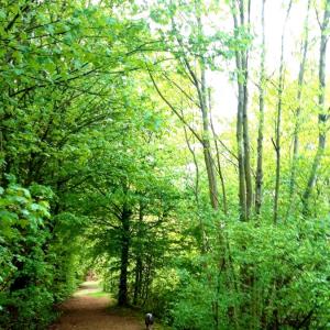 Parkplatz am möllener Sportplatz