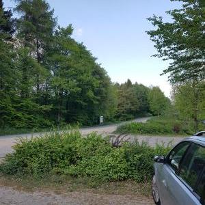 Cappenberg (PP Wildpark/ Schloßberg)