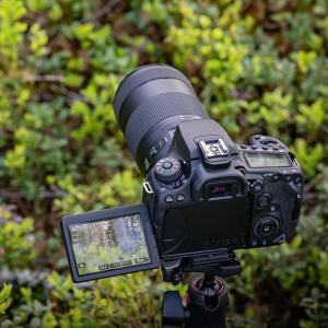 Geile Bilder und Videoangebote