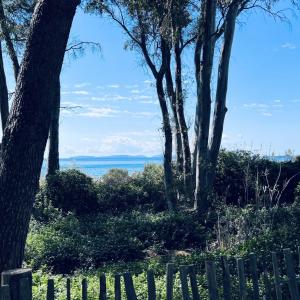 Urlaub in/um Saint Tropez + FKK