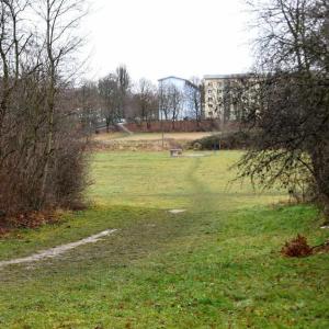 Wäldchen Landgraben Laubegast