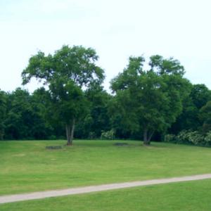 Aachener Weiher