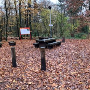 Blasen und mehr Dinklage Waldparkplatz (Burgallee)