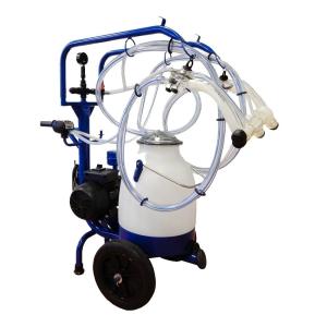 Hucow und Laktation Nrw