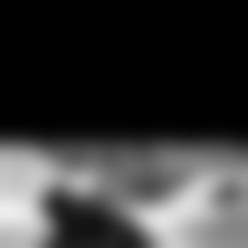FritzTheCat82