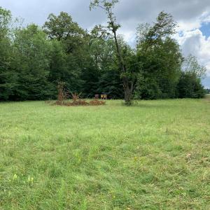 Pippinger Strasse / Bertha von Suttner Weg