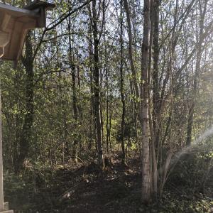 Forstenrieder Park