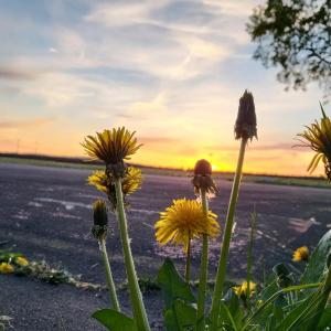 freie Übernachtung in Köln