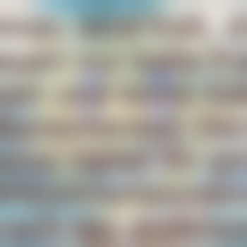 OrientalischerSeebär